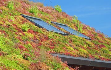 Brinsley living roof systems