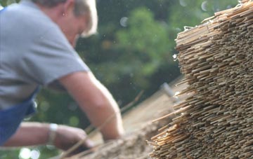 professional Brinsley thatchers