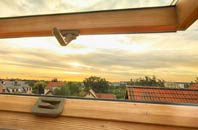 rated Brinsley roof window companies